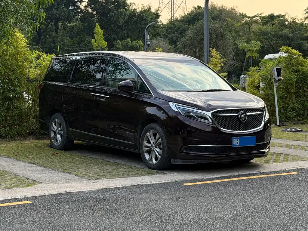 Buick GL8 — миниатюра 2