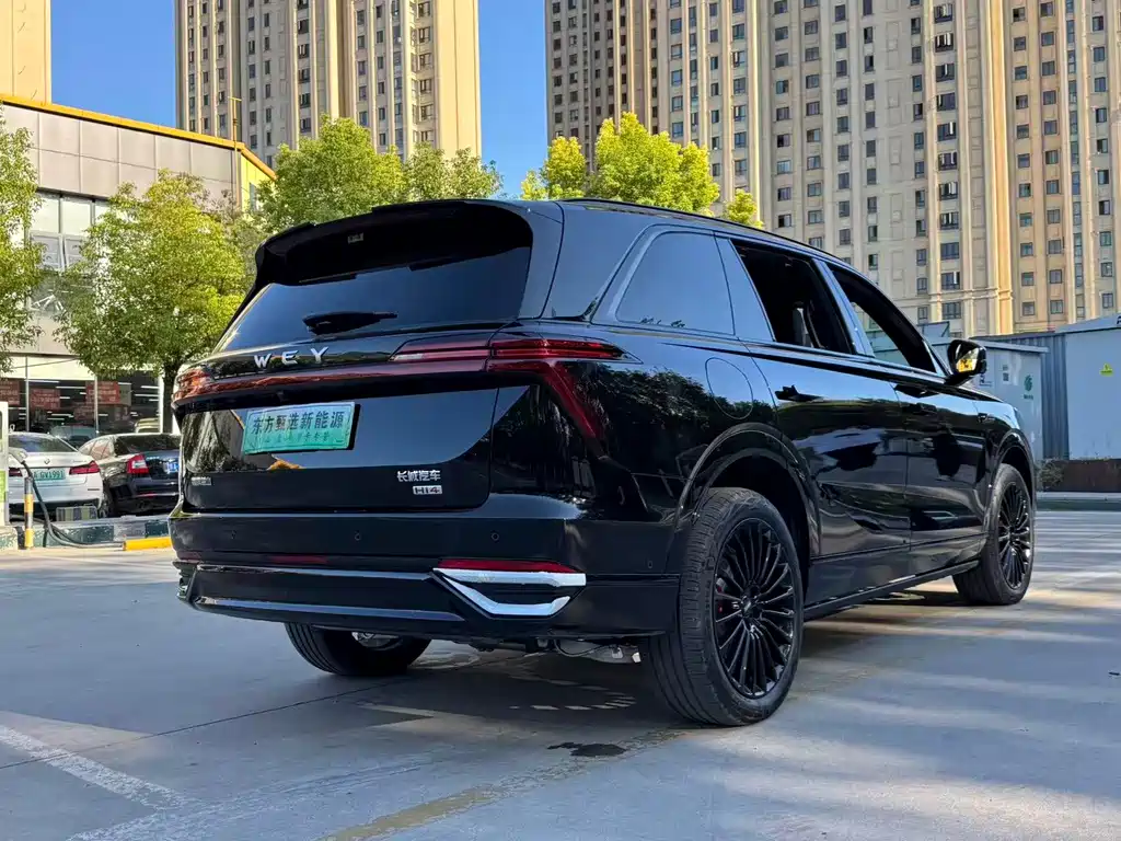 Wey Wey Lanshan — миниатюра 15
