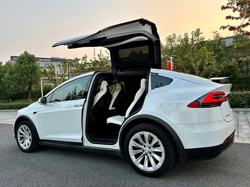 Tesla Model X — миниатюра 9