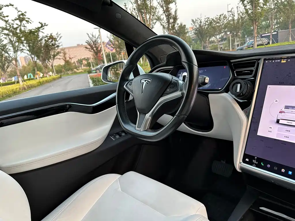Tesla Model X — миниатюра 14