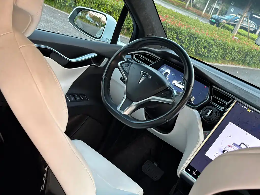 Tesla Model X — миниатюра 15