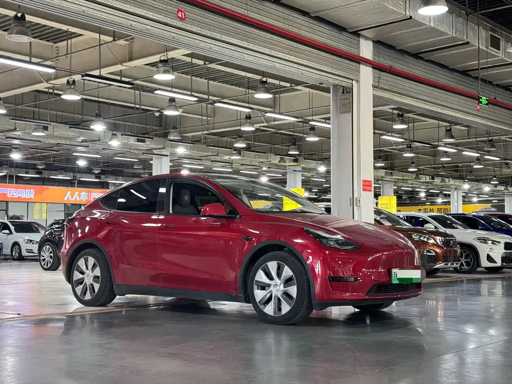 Tesla Model Y — миниатюра 3