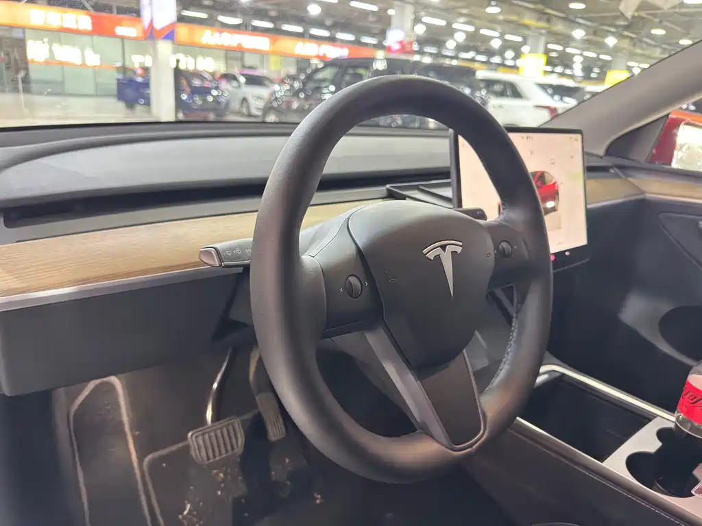 Tesla Model Y — миниатюра 11