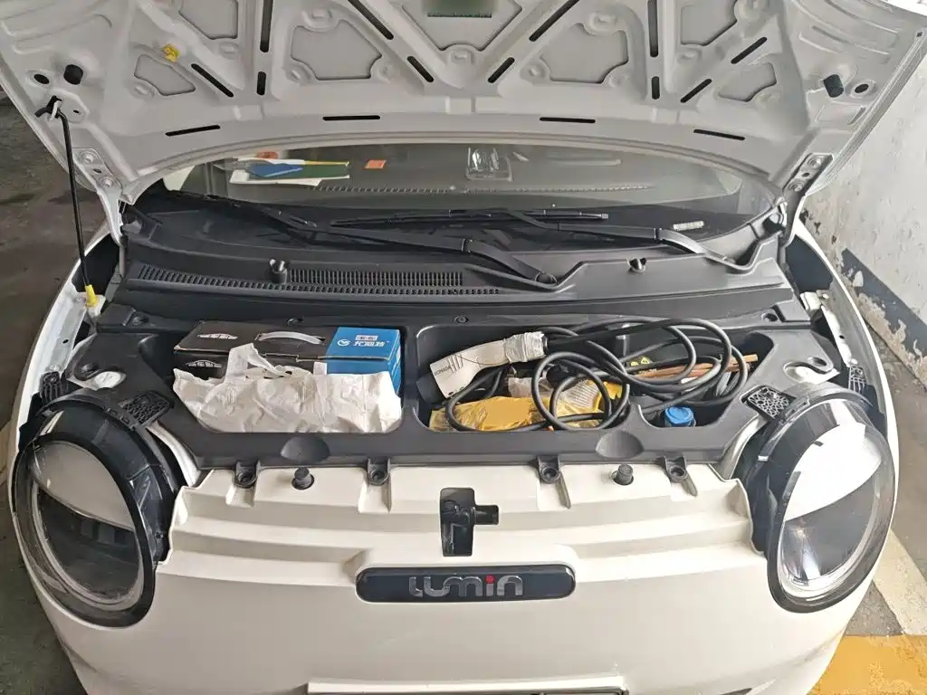Qiyuan Lumin — миниатюра 16