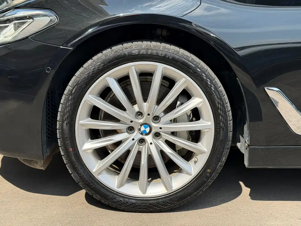 BMW 5 Series 5 2021 530Li Premium Luxury