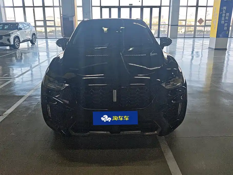 WEI PAI WEI BRAND VV5