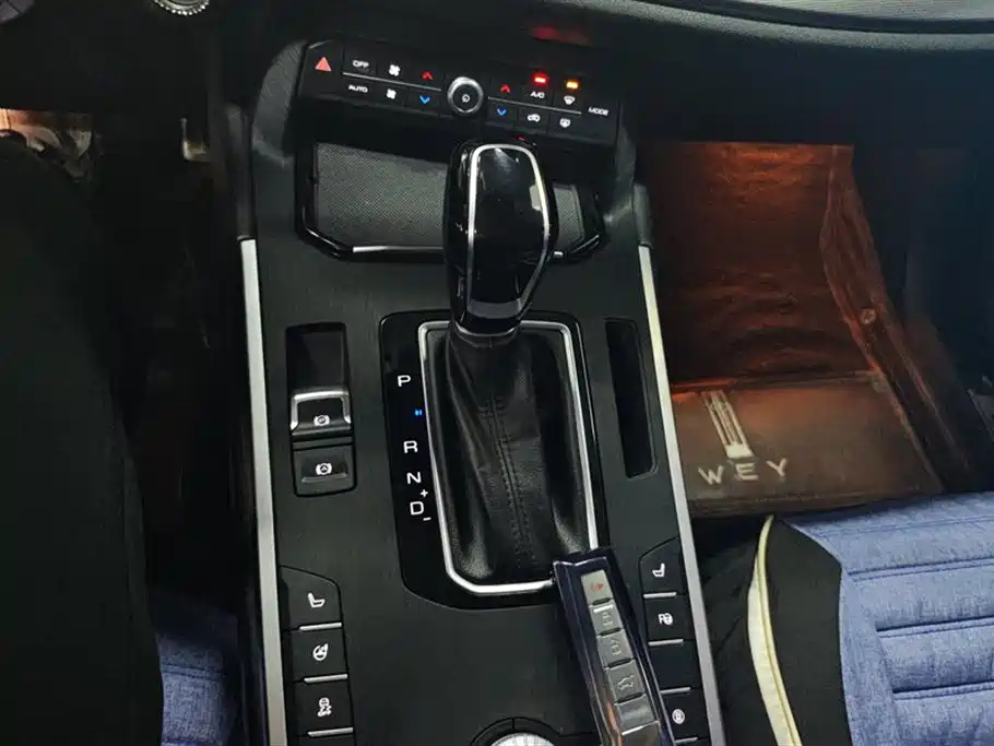 WEI PAI WEI BRAND VV5