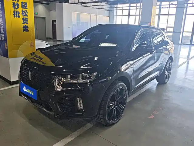 WEI PAI WEI BRAND VV5 2019