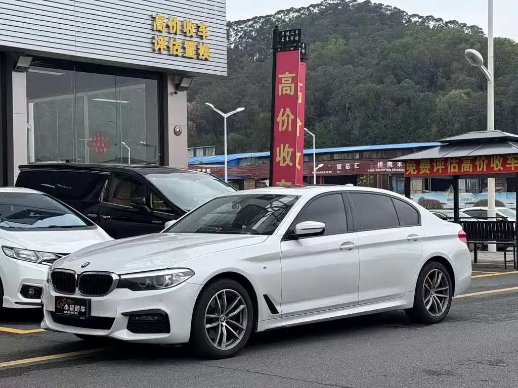 BMW 5 Series 2018