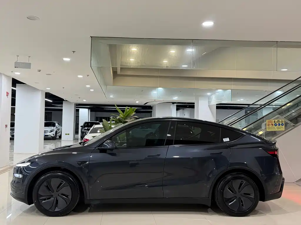 Tesla Model Y — миниатюра 3