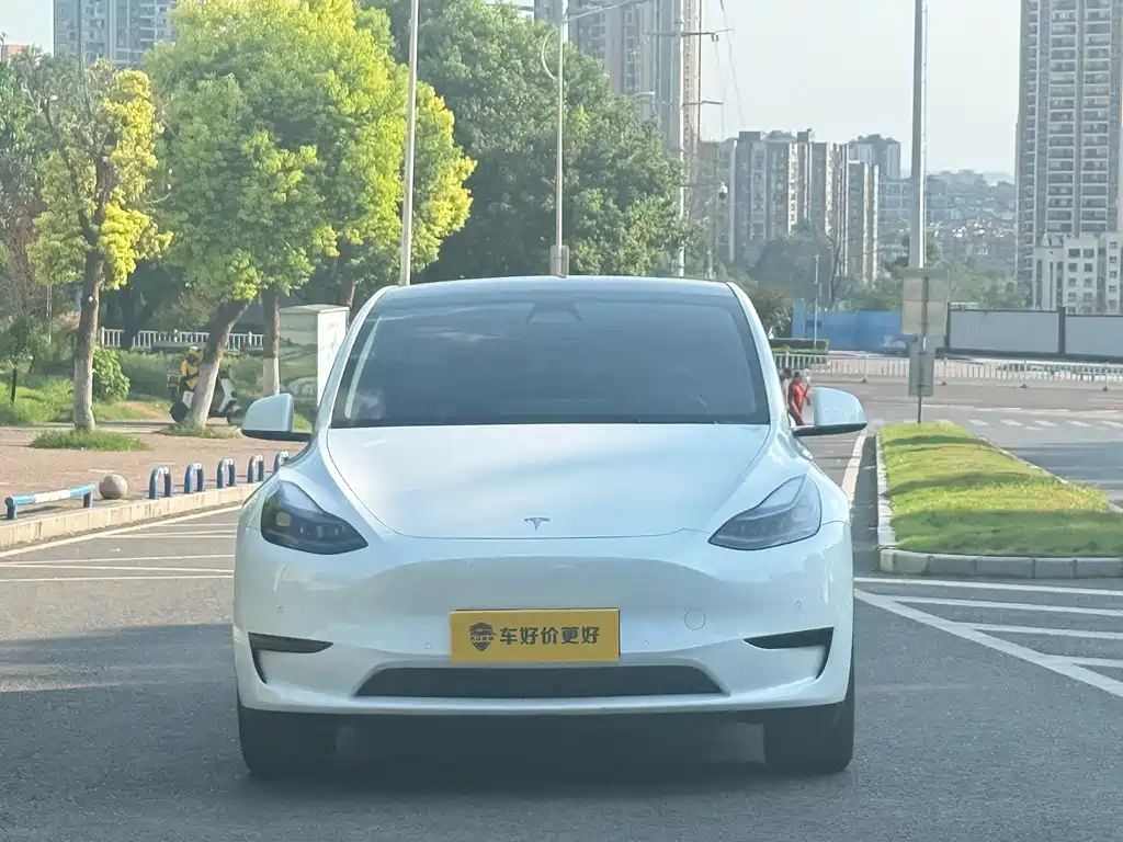 Tesla Model Y — миниатюра 2