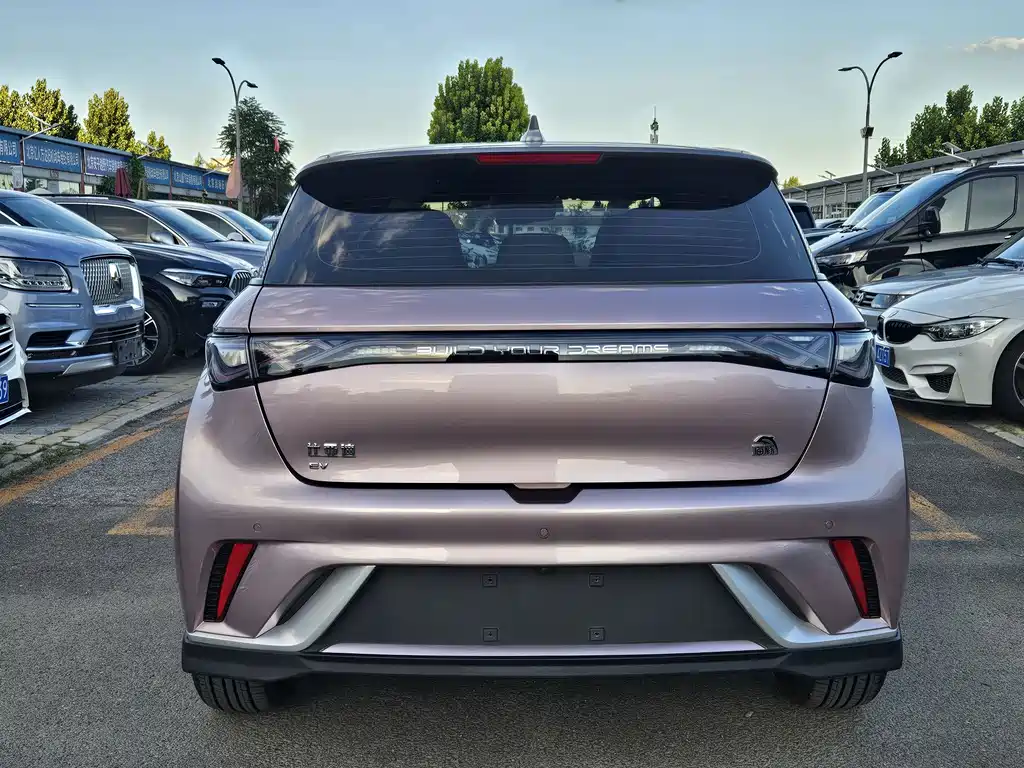 BYD Dolphin — миниатюра 6