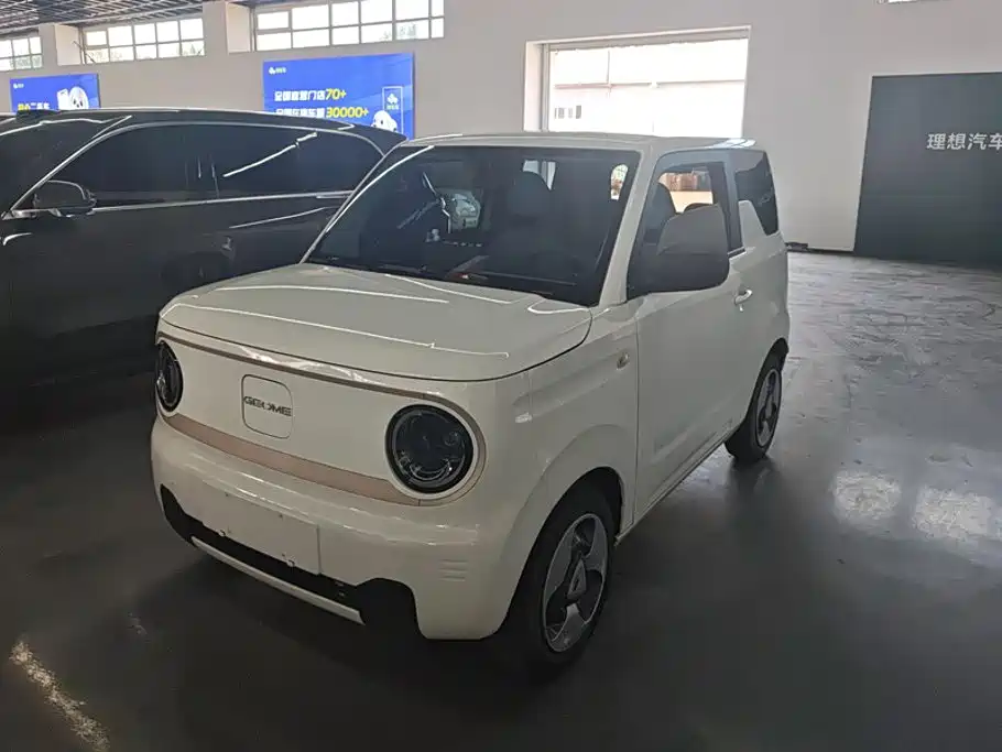Galaxy Panda