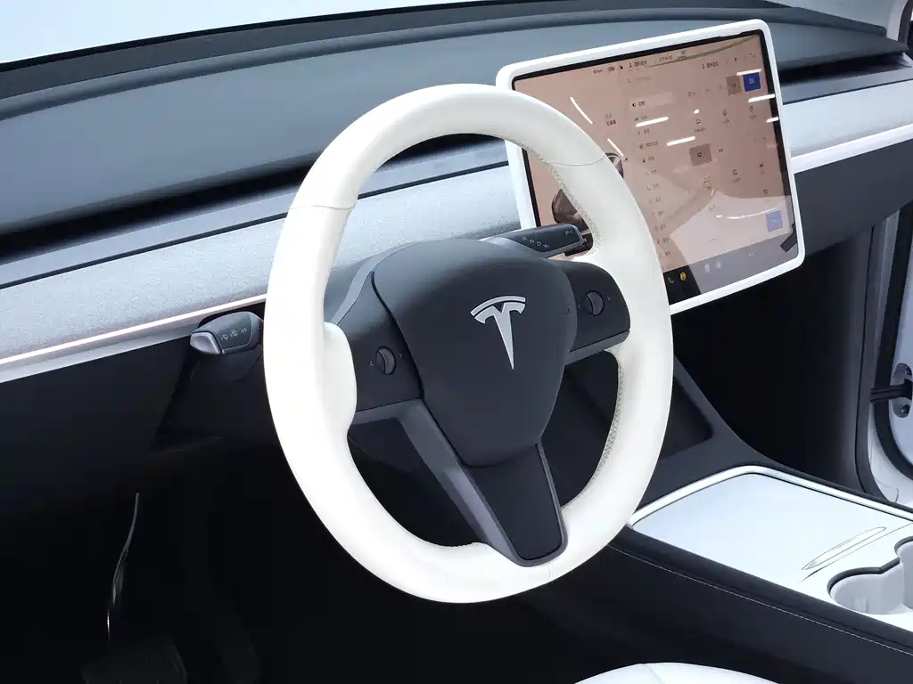 Tesla Model Y — миниатюра 12