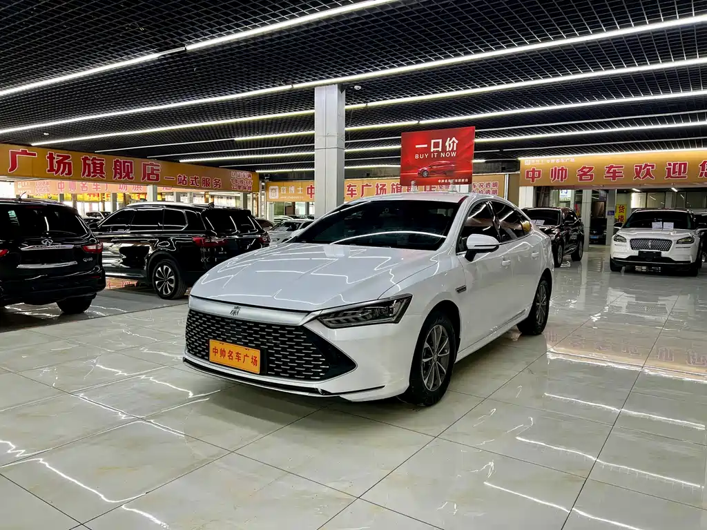 Byd Qin PLUS 2024