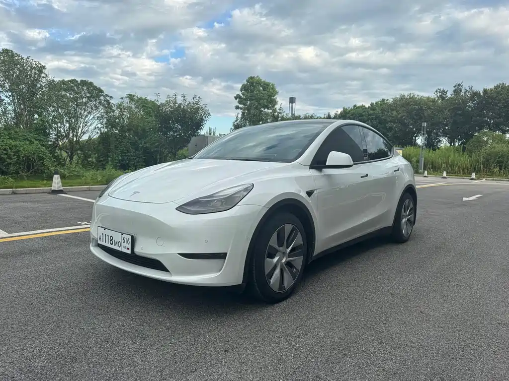 Tesla Model Y — миниатюра 2
