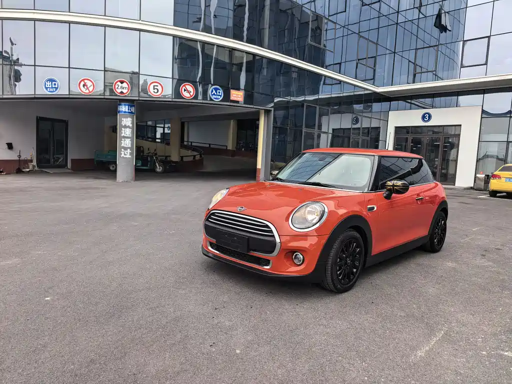 Mini Mini 2020
