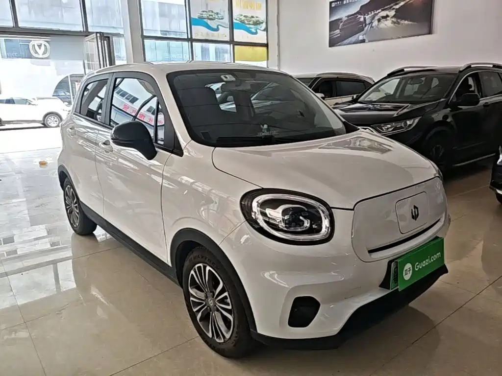 Leapmotor T03 2024 310