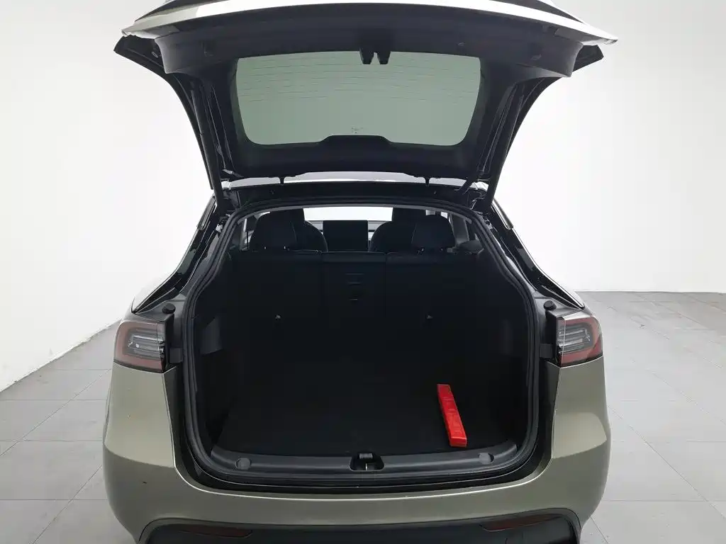 Tesla Model Y — миниатюра 16