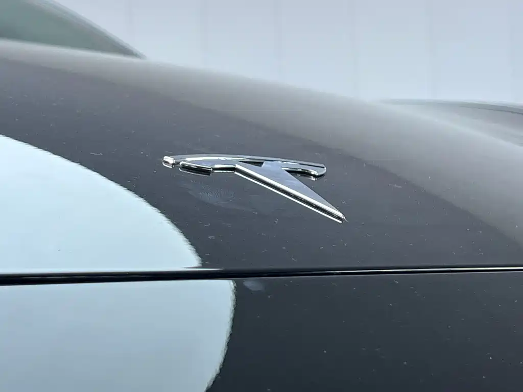 Tesla Model Y — миниатюра 5