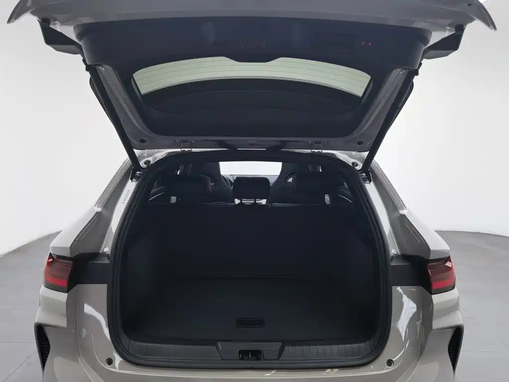BYD PLUS New Energy — миниатюра 16