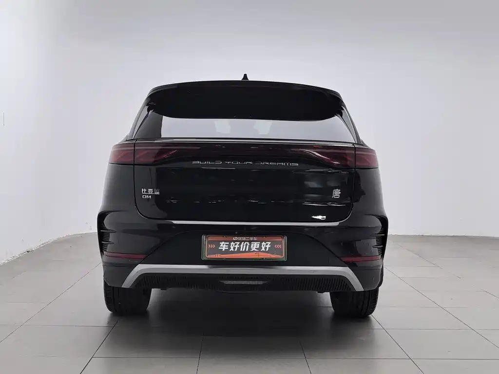 BYD Tang New Energy — миниатюра 4