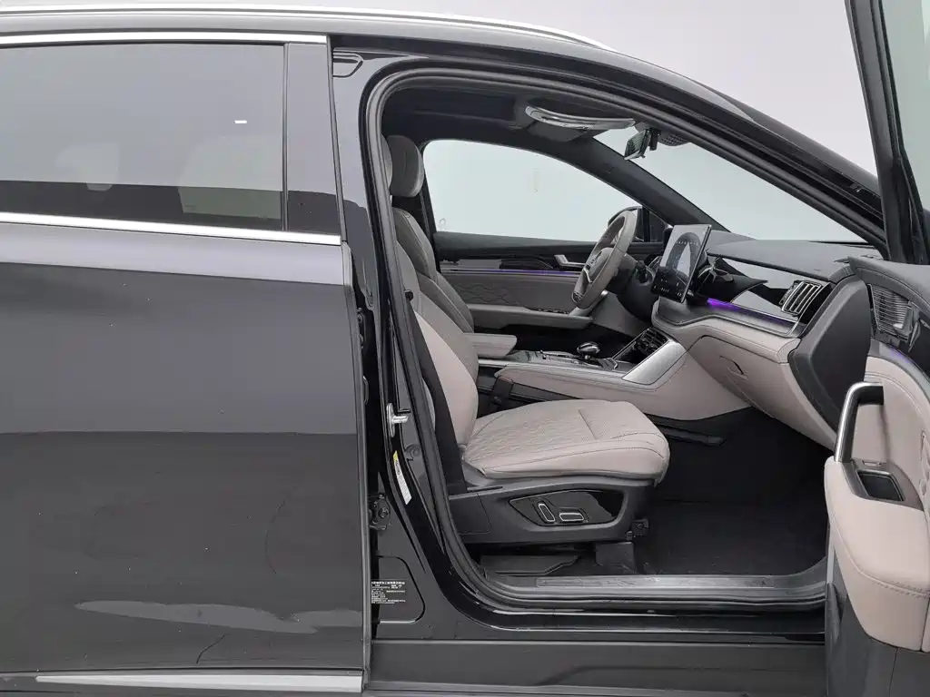 BYD Tang New Energy — миниатюра 23
