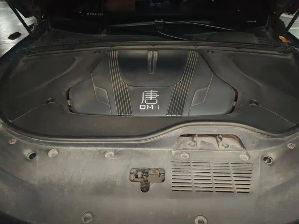 BYD Tang New Energy — миниатюра 11