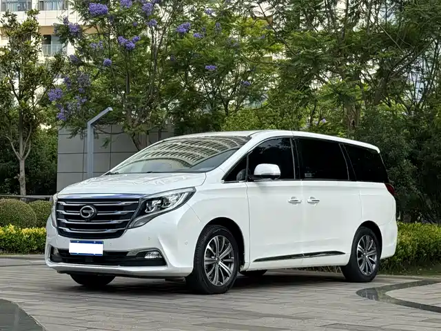 2018 GAC GN8