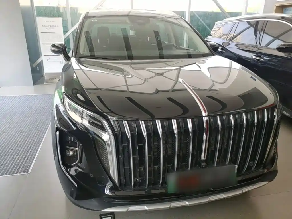 Hongqi Hongqi HS7 PHEV — миниатюра 3