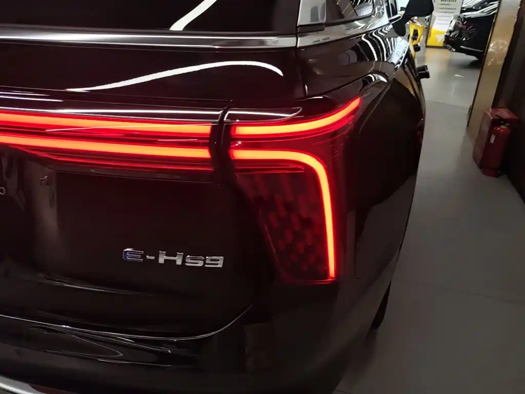 Hongqi E-HS9 2022 690km мест