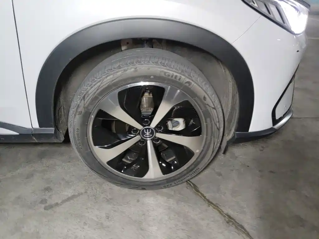 BYD PLUS New Energy — миниатюра 25