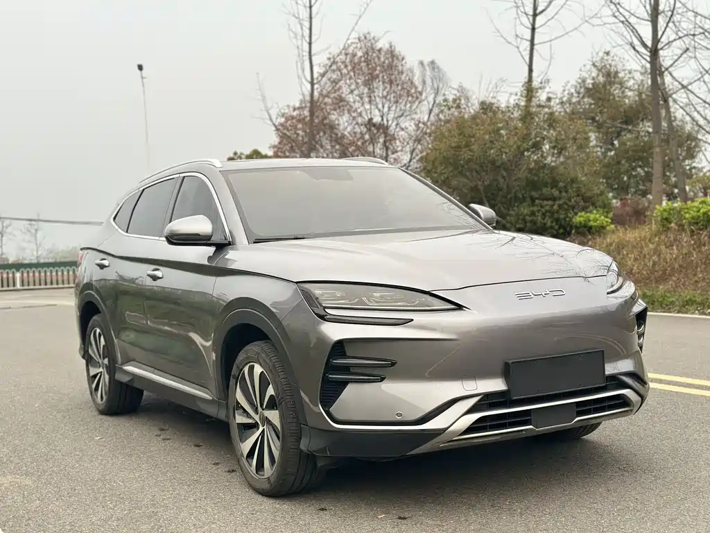Byd PLUS New Energy 2024