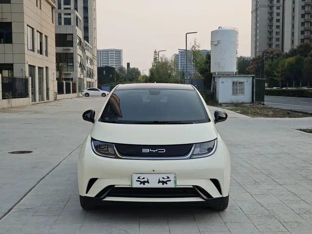 BYD Dolphin — миниатюра 2