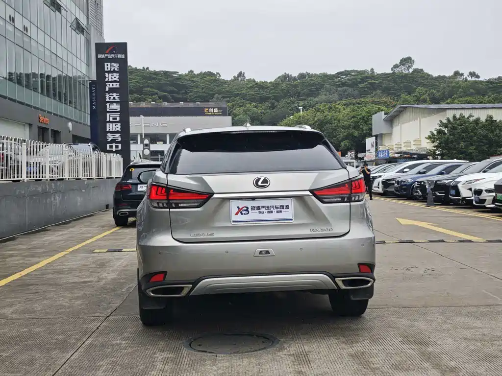 Lexus RX — миниатюра 18