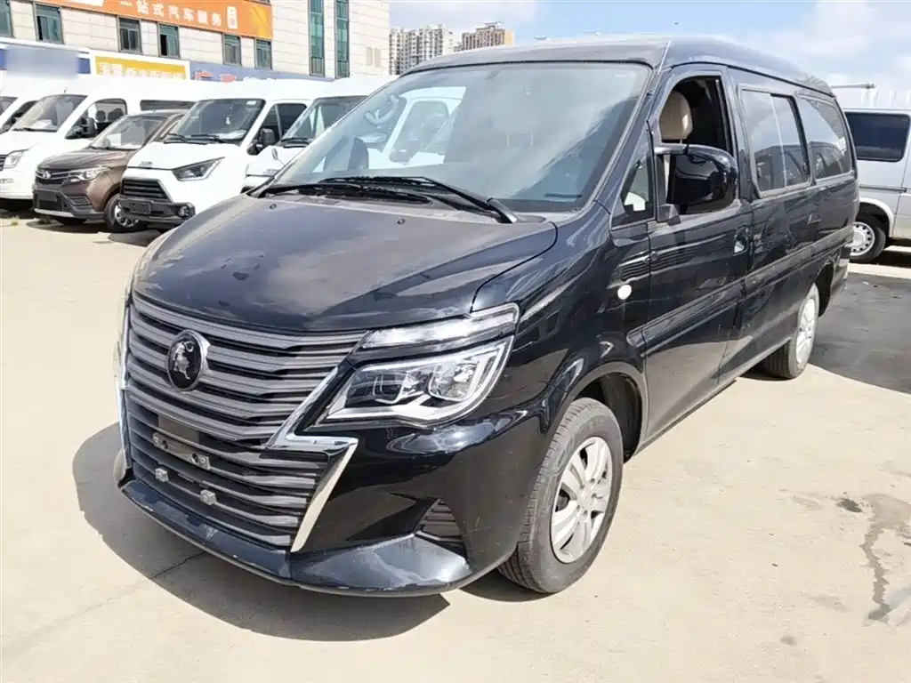 Fengxing Lingzhi 2023