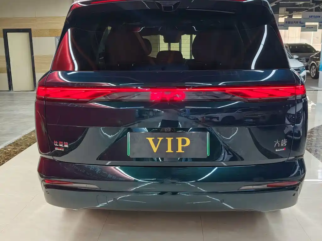 BYD Datang — миниатюра 5