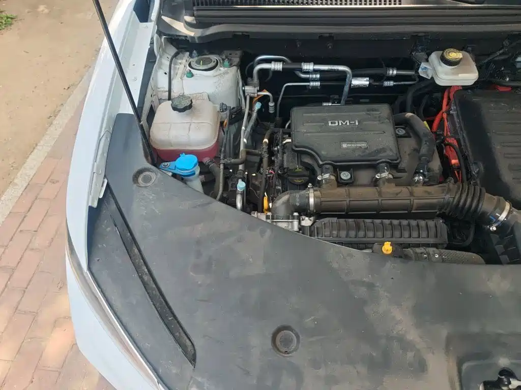 BYD Pro New Energy — миниатюра 21