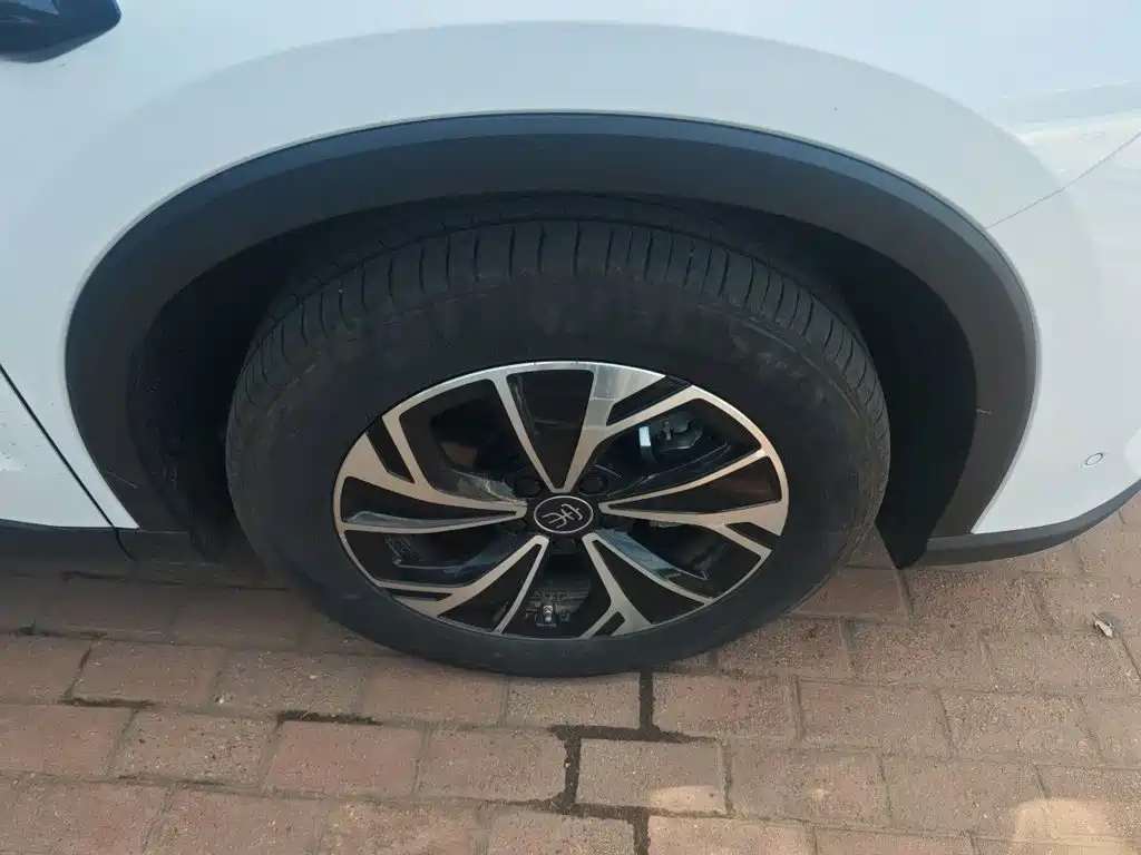 BYD Pro New Energy — миниатюра 25
