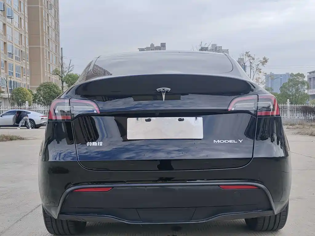Tesla Model Y — миниатюра 5