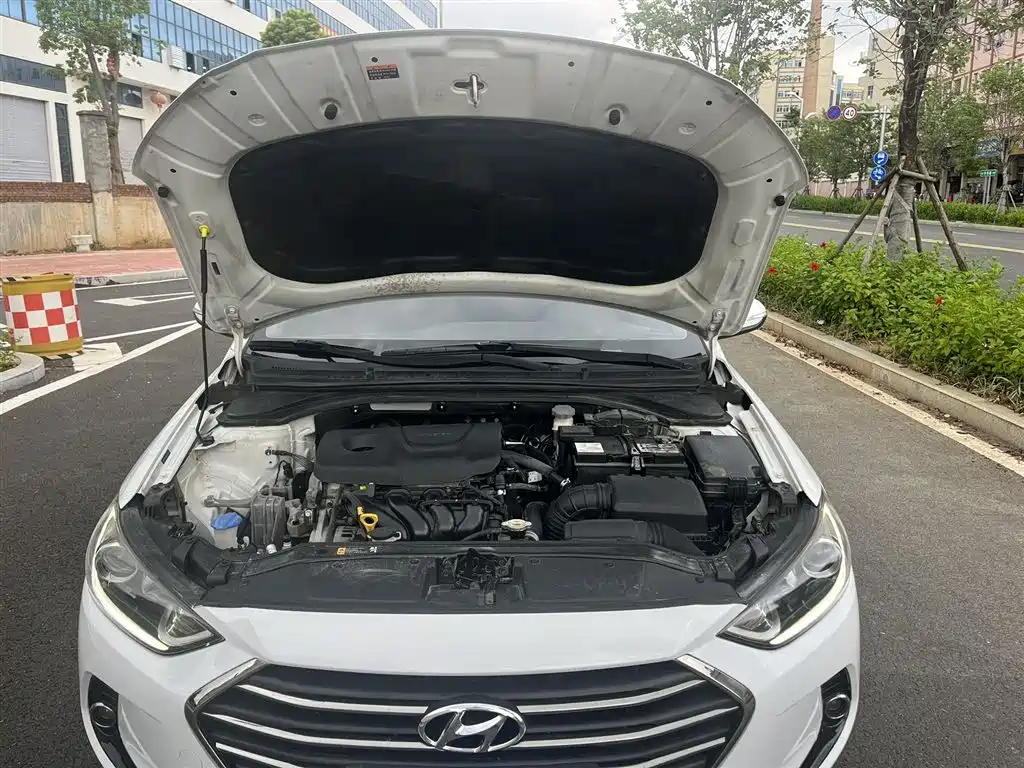 HYUNDAI LEAD