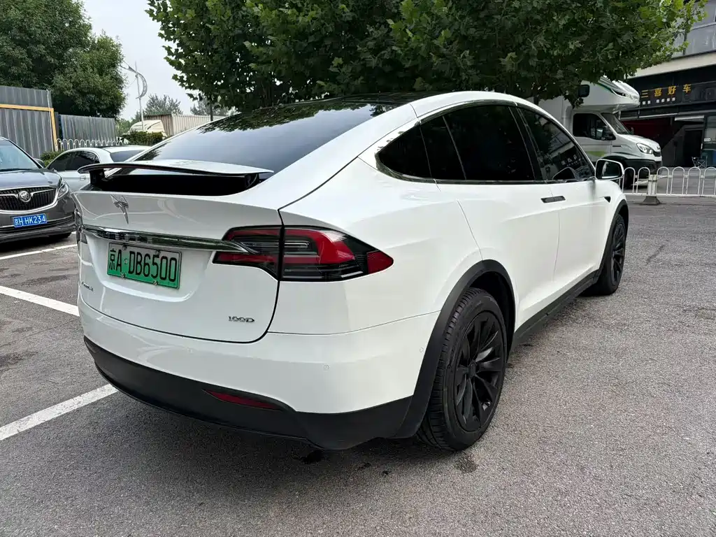 Tesla Model X 2017 Model X 100D