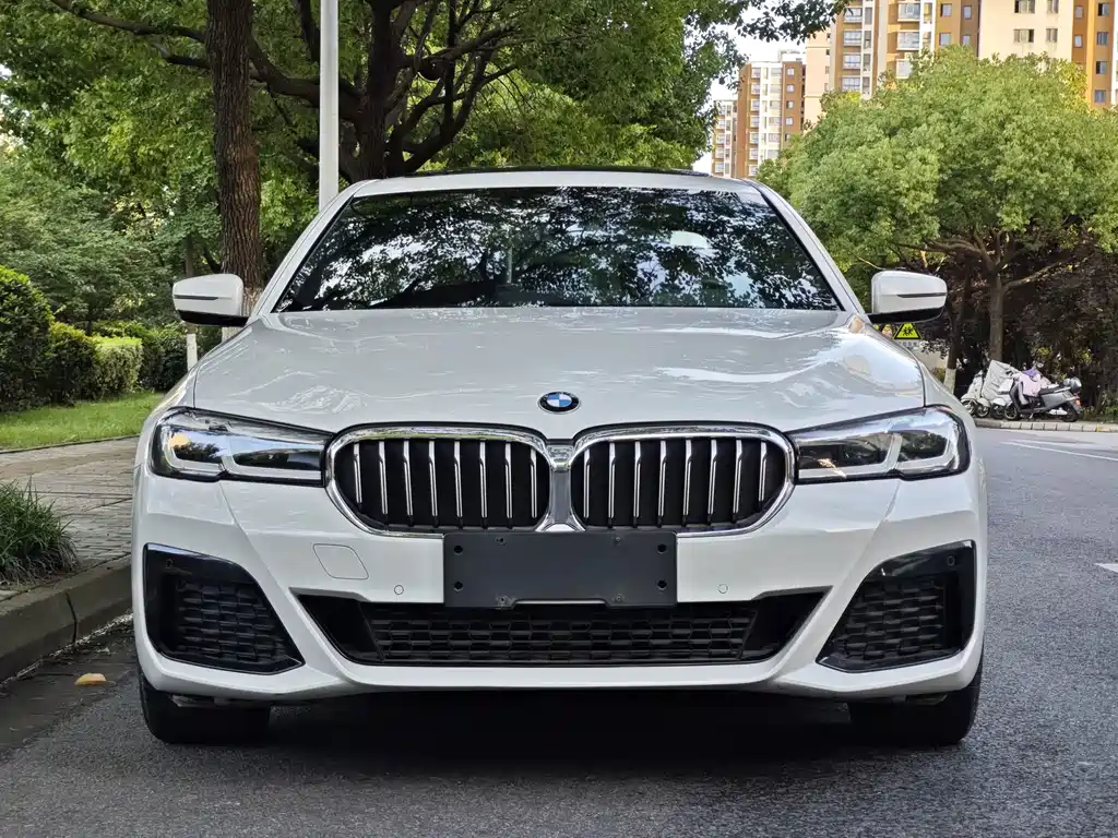 BMW 5 Series — миниатюра 2