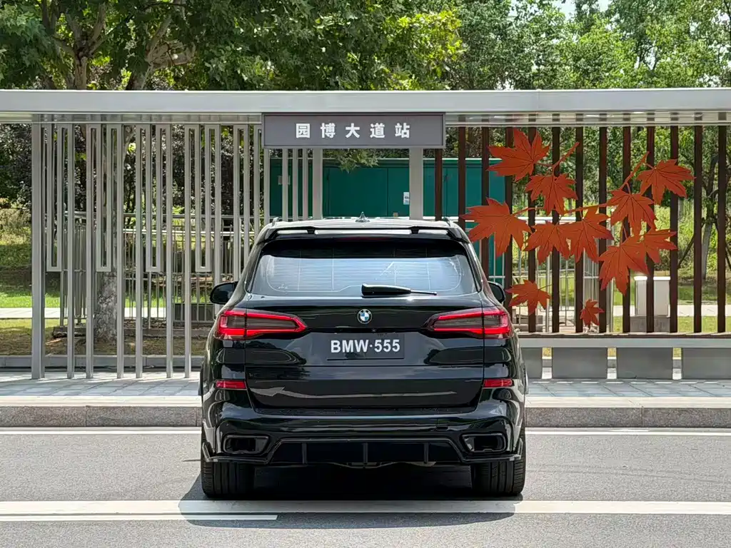 BMW X5 (Import) — миниатюра 8