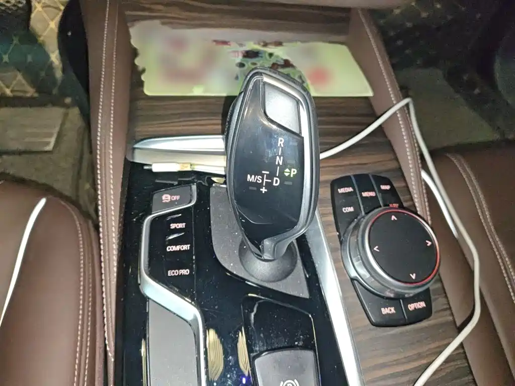 BMW 5 Series 5 2019 530Li Lead Luxury