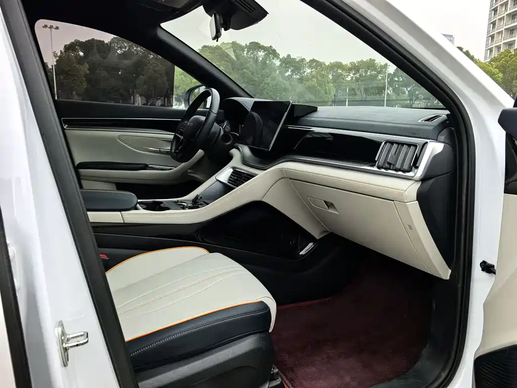 BYD SONGJIANG NEW ENERGY