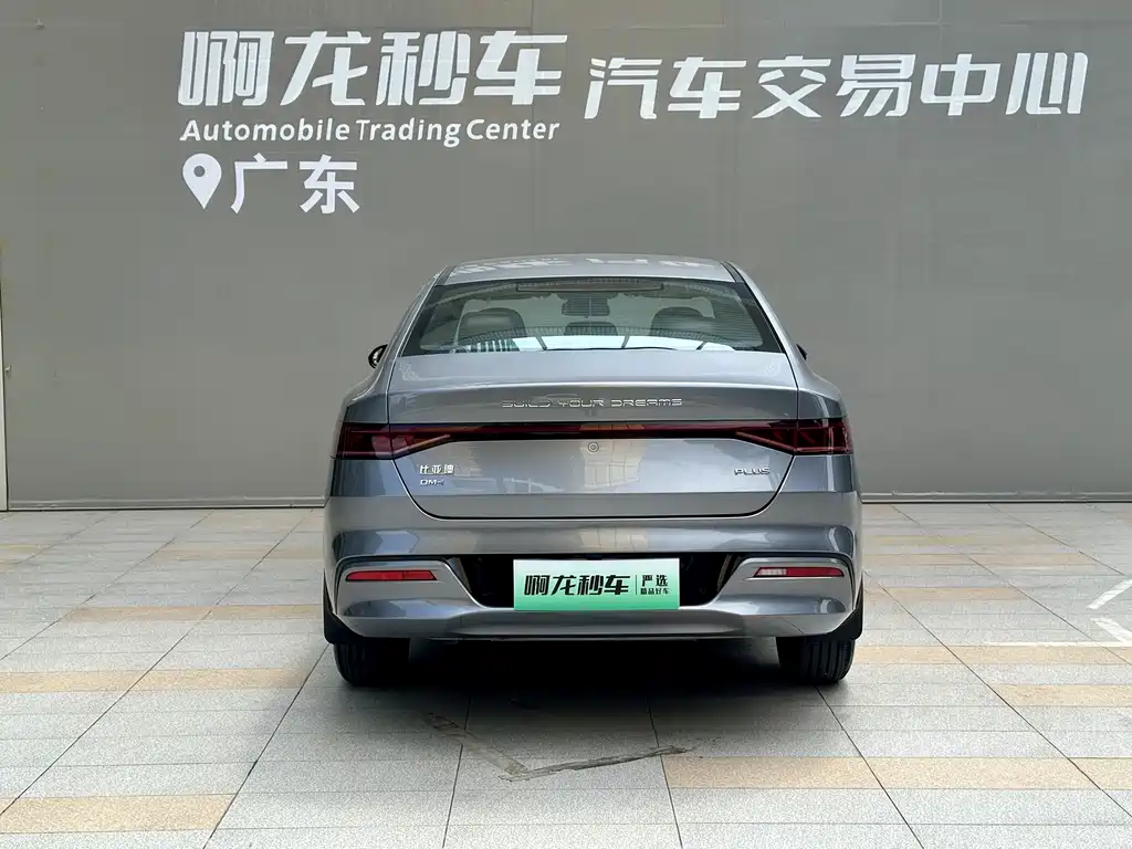 BYD Qin Plus PLUS 2024 DM-i 55KM Lead
