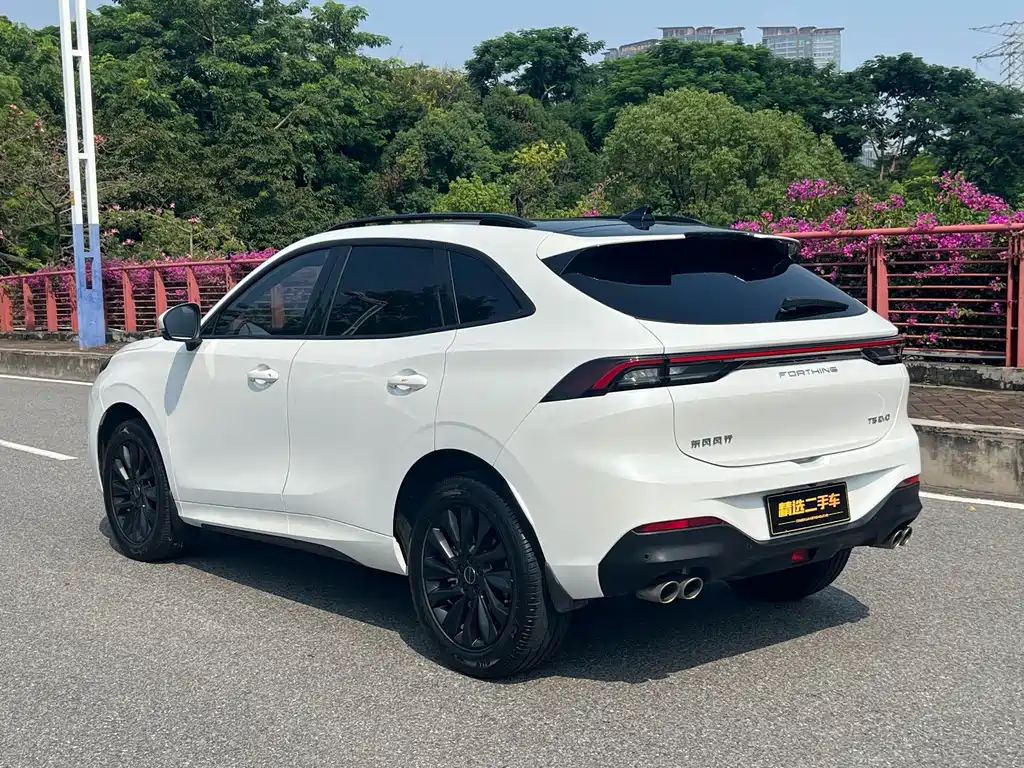 Fengxing Fengxing T5 EVO — миниатюра 22
