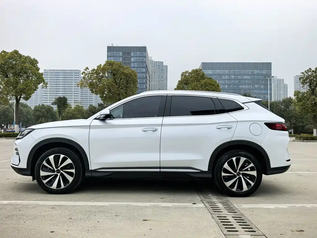 BYD SONGJIANG NEW ENERGY