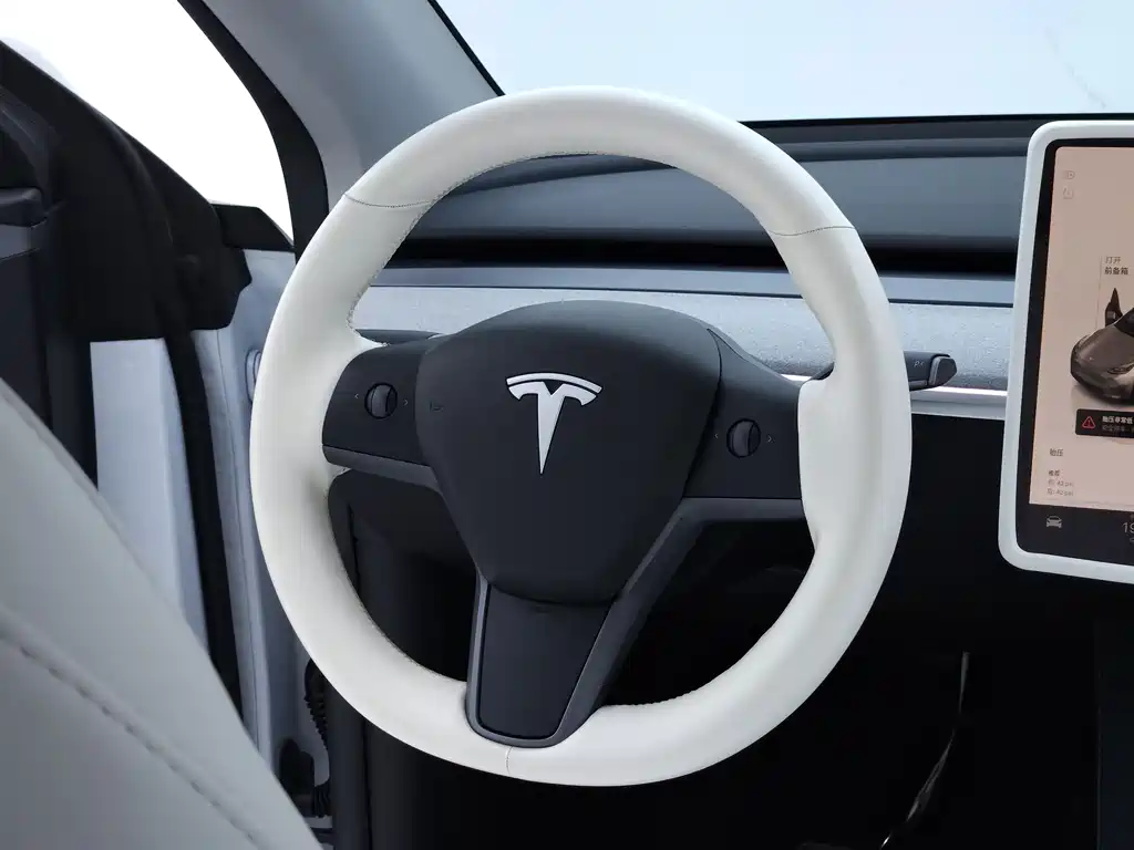 Tesla Model Y — миниатюра 13